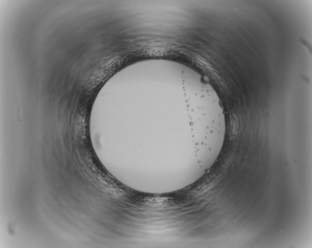 X0000102240497200808151757