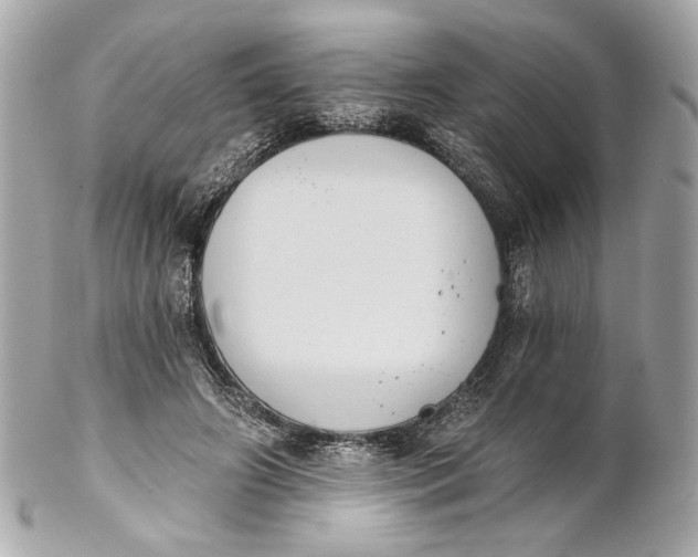 X0000102240498200808151757