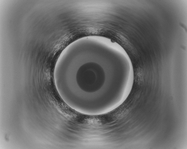 X0000102240500200808151757