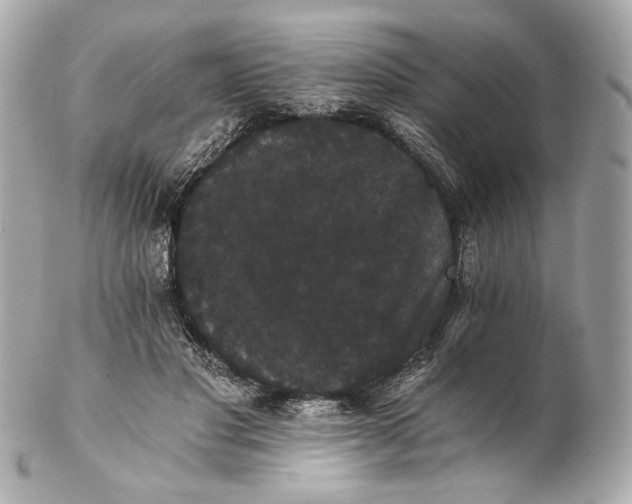 X0000102240501200808151757