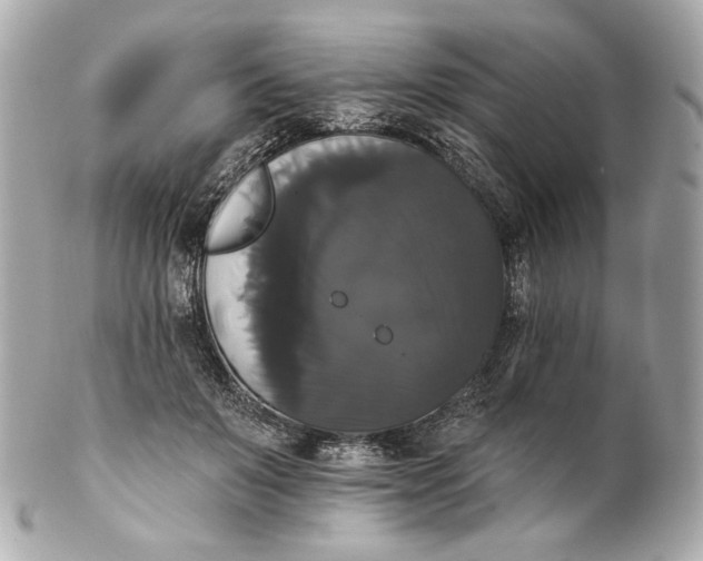 X0000102240503200808151756