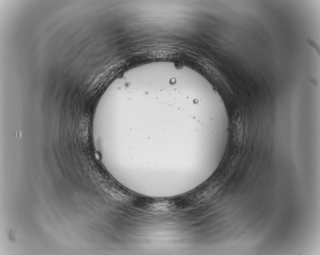 X0000102240505200808151756