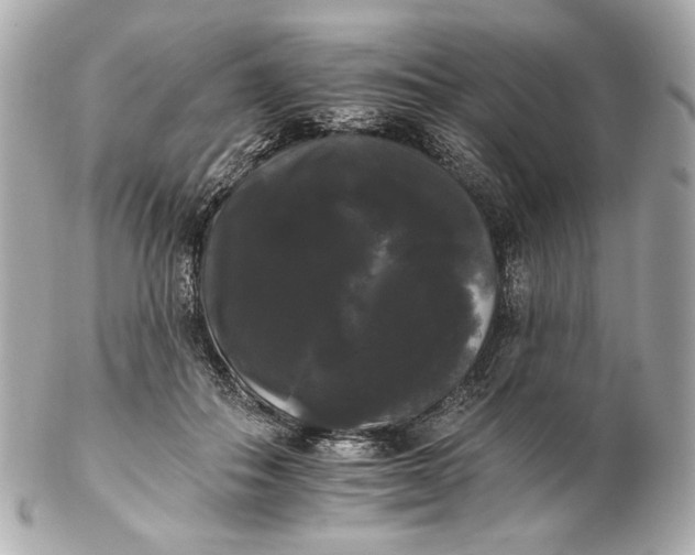 X0000102240506200808151756