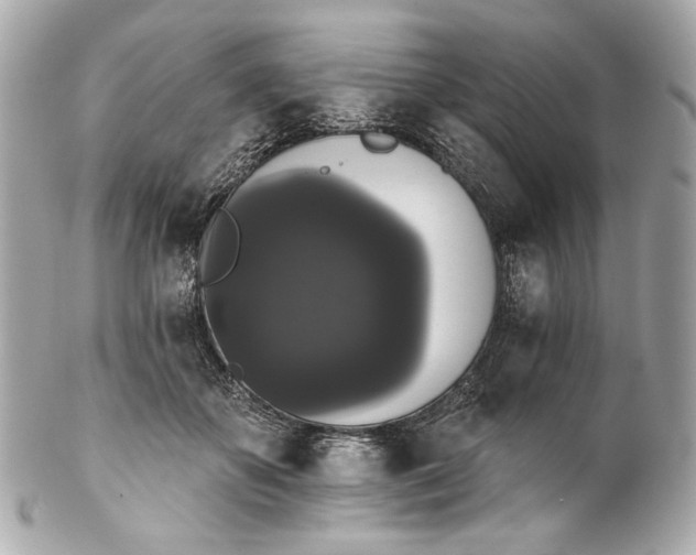 X0000102240507200808151756