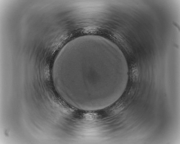 X0000102240508200808151756