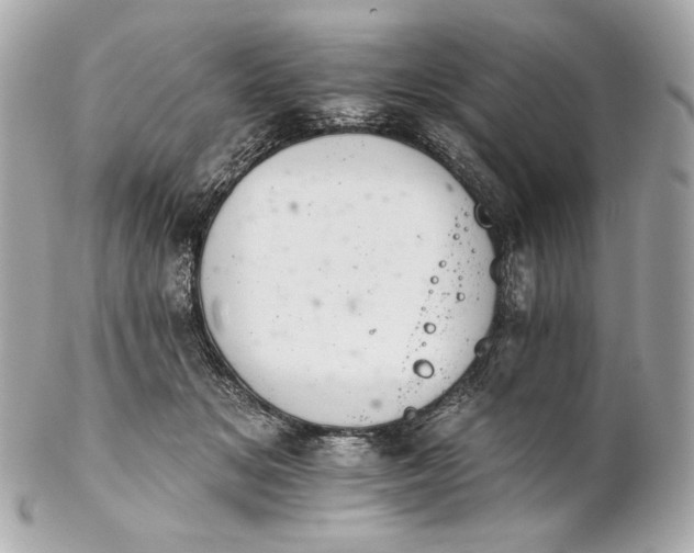 X0000102240509200808151756