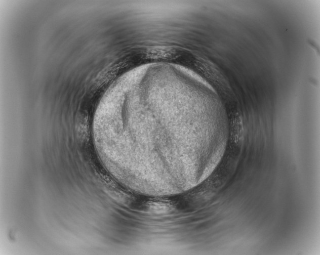 X0000102240510200808151756