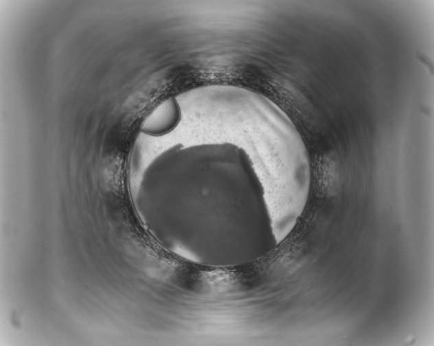 X0000102240511200808151756