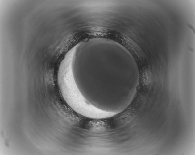 X0000102240512200808151756