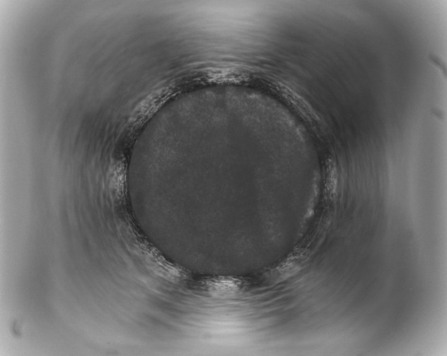 X0000102240513200808151756