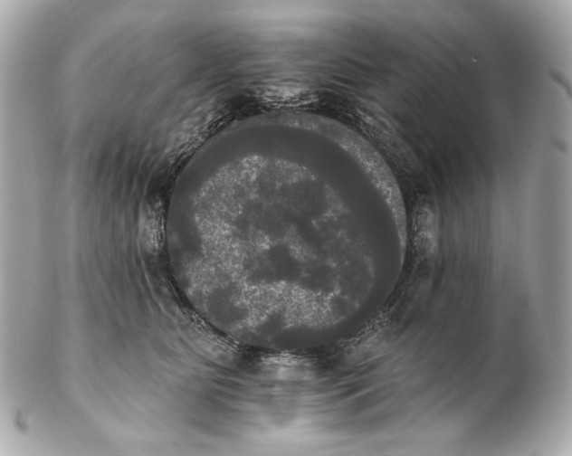 X0000102240515200808151756