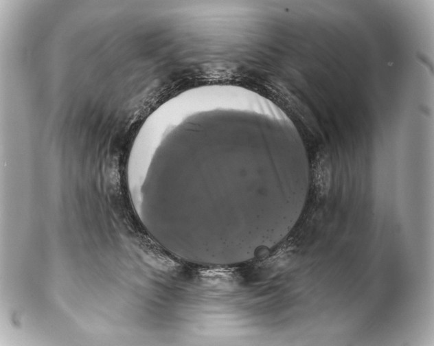 X0000102240516200808151756