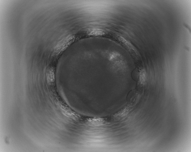 X0000102240517200808151756