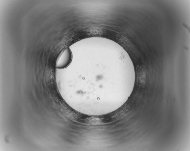 X0000102240518200808151756