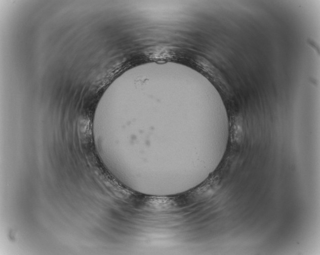 X0000102240521200808151756