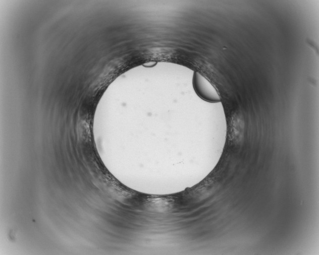 X0000102240522200808151756