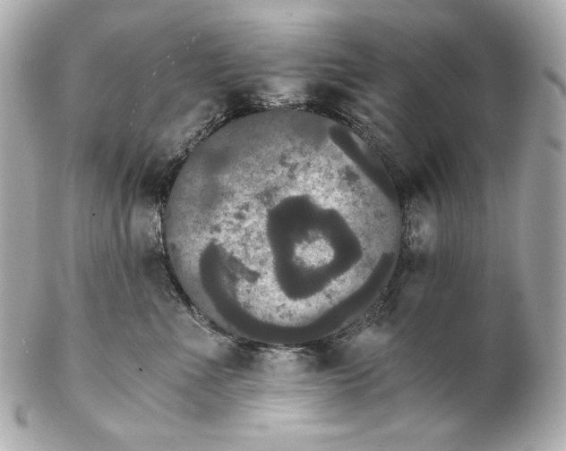 X0000102240523200808151756