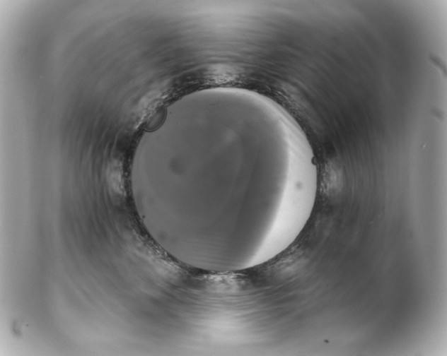 X0000102240524200808151756