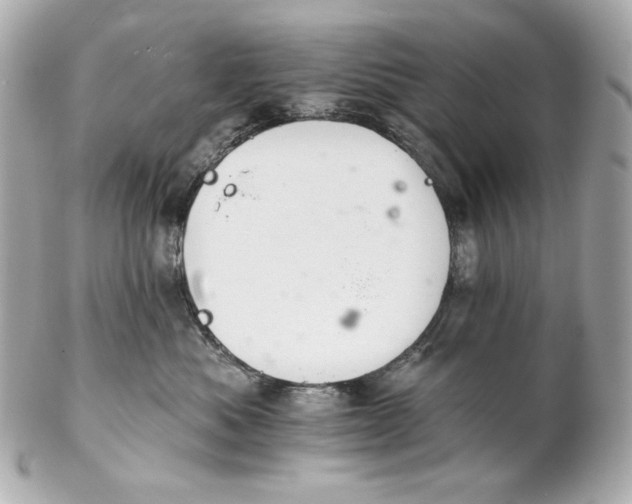 X0000102240525200808151756