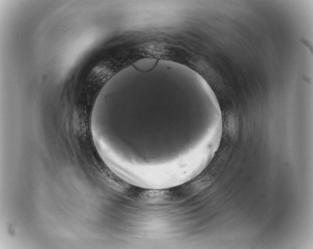 X0000102240526200808151756