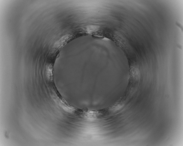 X0000102240527200808151756