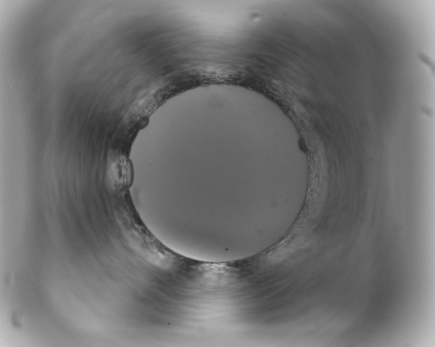 X0000102240528200808151756