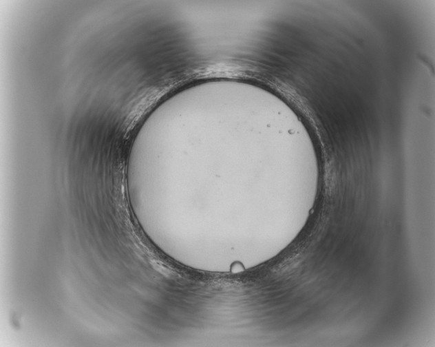 X0000102240529200808151755