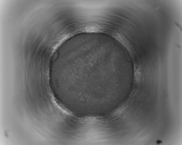 X0000102240530200808151755