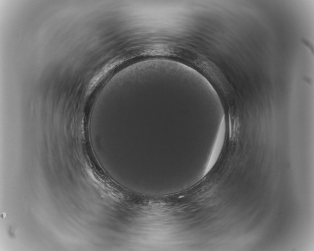 X0000102240531200808151755