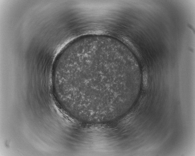 X0000102240532200808151755