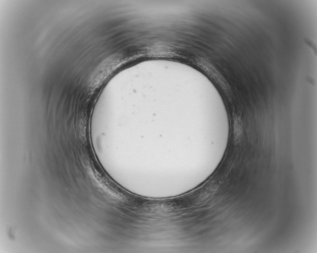 X0000102240533200808151755