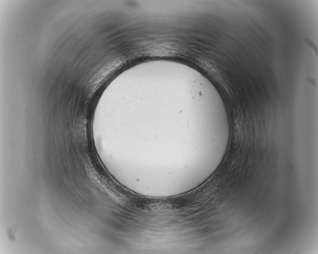 X0000102240535200808151756