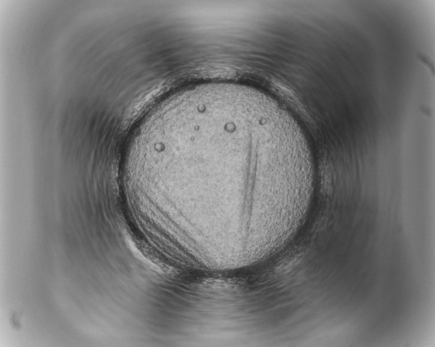 X0000102240538200808151756