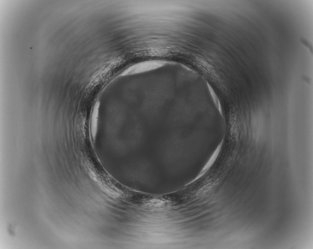 X0000102240542200808151756