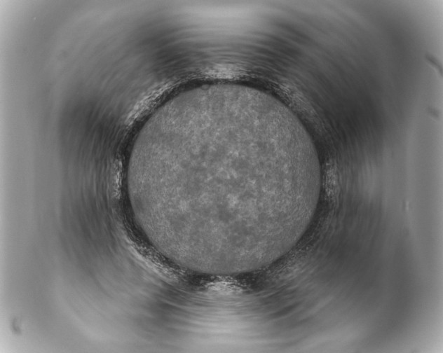 X0000102240544200808151756