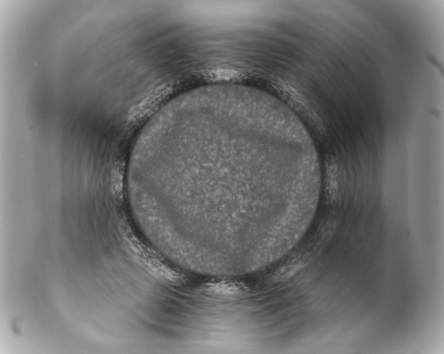 X0000102240545200808151756