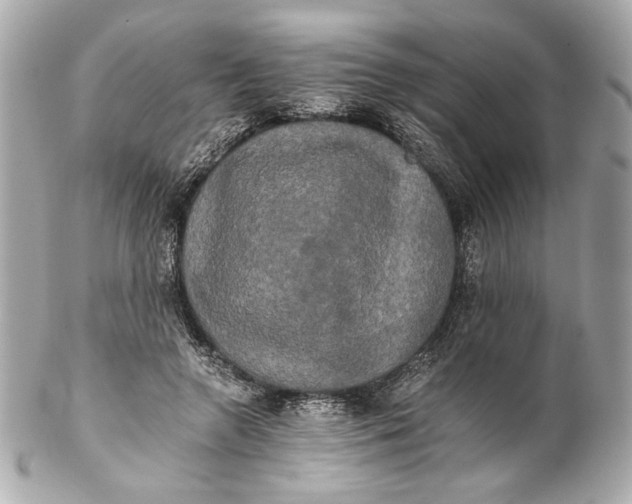 X0000102240546200808151756