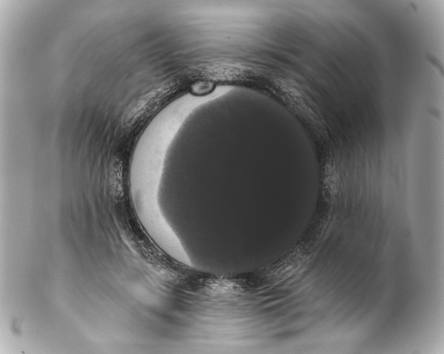 X0000102240547200808151756