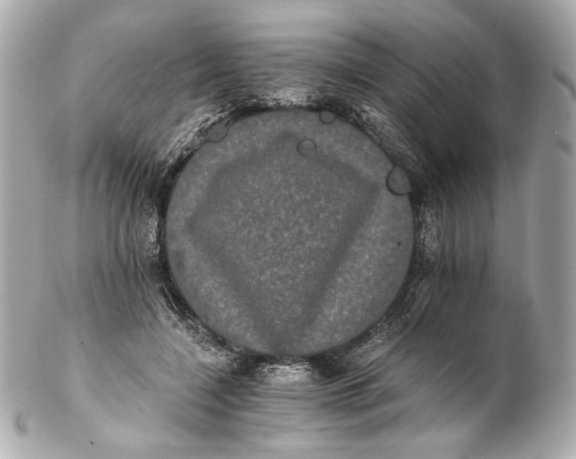 X0000102240548200808151756