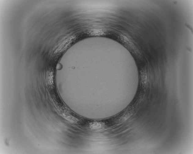 X0000102240549200808151756