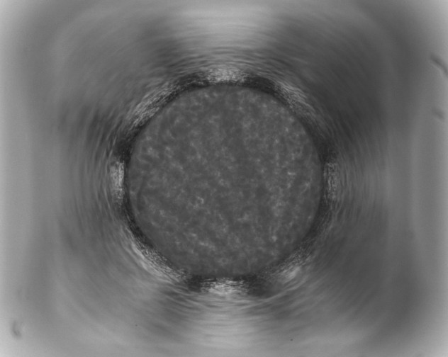 X0000102240550200808151756