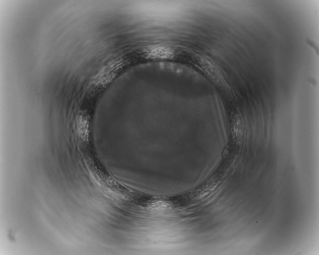 X0000102240551200808151756