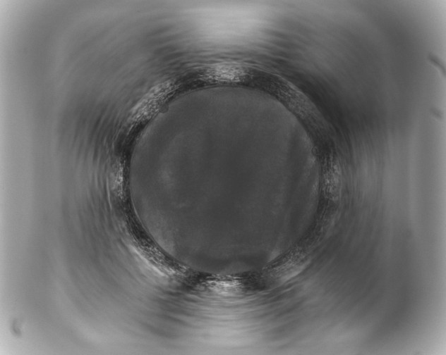 X0000102240552200808151756