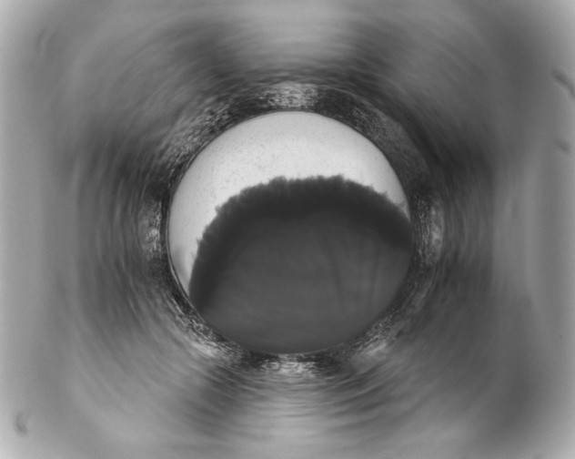 X0000102240553200808151756