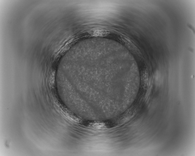 X0000102240554200808151756