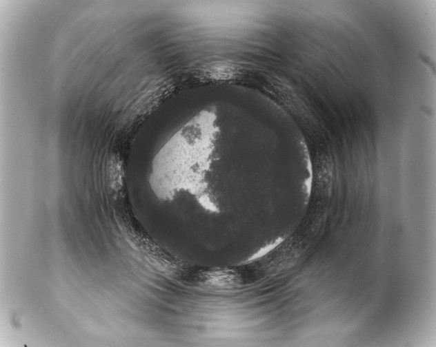 X0000102240555200808151756