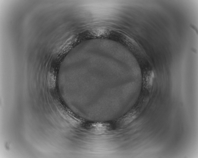 X0000102240558200808151756