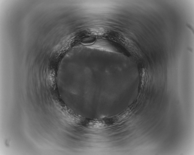 X0000102240559200808151756