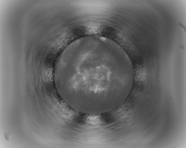 X0000102240560200808151756