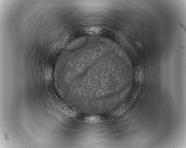 X0000102240561200808151756